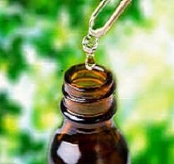 Herbal Extracts